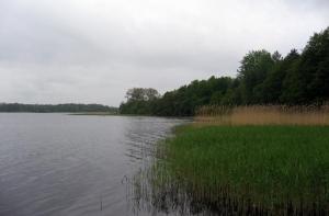 Температура воды в реках не превышает 20 градусов