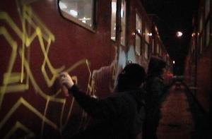 Вандализм в поездах приобрел драматический характер