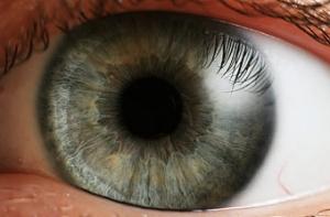 В аэропортах установят сканеры для глаз