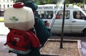 Рижские деревья обработают гумусовыми веществами