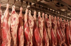 Смертельно опасную E. coli нашли в мясе