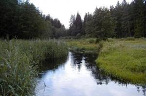 Вода в реках прогрелась до +20 градусов