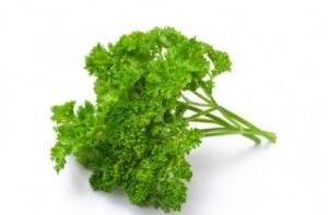 Роспотребнадзор причислил плоды курчавой петрушки к наркотикам и яду