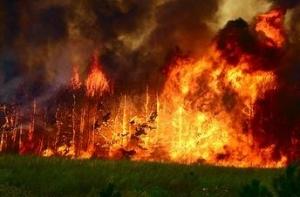 За прошедшие сутки потушено 16 пожаров