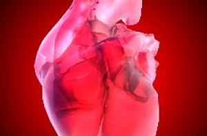 В США пациенту пересадили сердце, которое не бьется