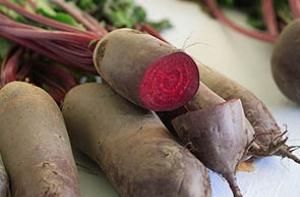 Разносчиком опасной инфекции стала свекла