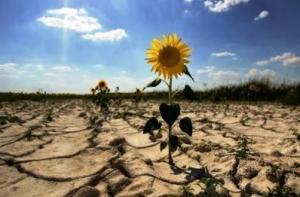 Французов ограничили в потреблении воды