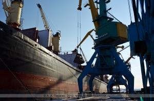 На Камчатке задержали радиоактивный бульдозер из Японии