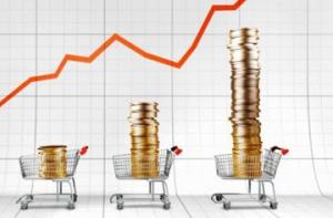 Годовая инфляция в июне достигла 4,8%