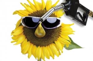 Greenpeace: Биотопливо вреднее бензина