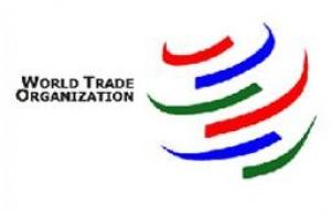 Американские сенаторы заблокировали переговоры по членству России в ВТО