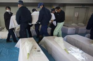 Жертвами землетрясения в Японии стали 15 тысяч 703 человека