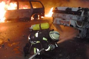 Автомобили теперь жгут и в столице Австрии