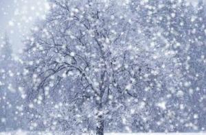 Снегопады парализовали движение в Новой Зеландии