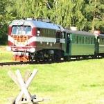 Узкоколейная дрезина насмерть сбила мужчину