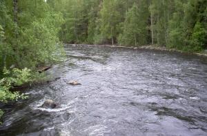 Вода в латвийских реках все холоднее
