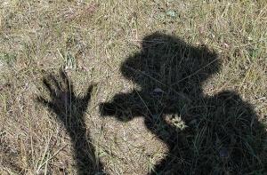 Доклад: главная беда Латвии - теневая экономика