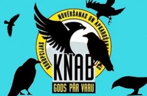 Под чей надзор партии хотят передать KNAB