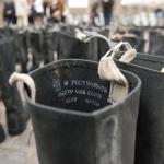 Музей оккупации: советские колонисты хуже арабских иммигрантов