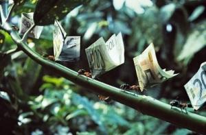 Прибыль банковского сектора достигла почти 113 млн. латов