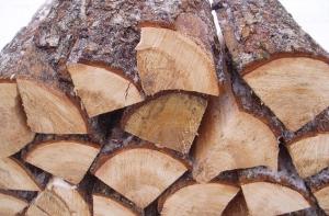 В Латвии дрова подорожают еще больше