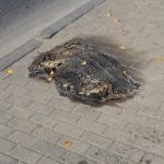 У посольства РФ совершили попытку самосожжения (ДОПОЛНЕНО)