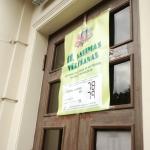 К 16 часам проголосовали почти 43% избирателей