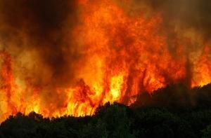 Во время лесных пожаров в Техасе пропали 22 человека