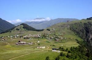 В грузинском селе геев из Германии сбросили в реку