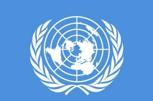 Миротворцев ООН обвинили в изнасиловании гаитянина