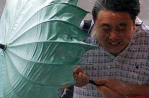 Жертвами тайфуна «Роке» стали 12 человек