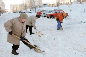 Грядущая зима не будет очень суровой