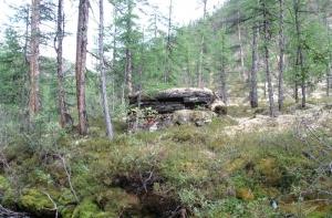 Пропавшую бразильянку нашли в сибирской тайге