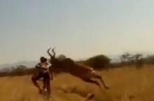 Видео встречи спортсмена с антилопой взорвало Интернет