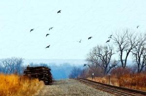 Злоумышленники забросали камнями окна поезда