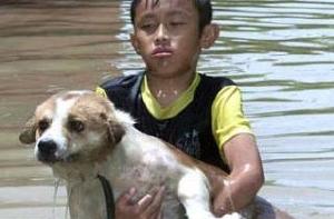 На канале в Бангкоке прорвало дамбу