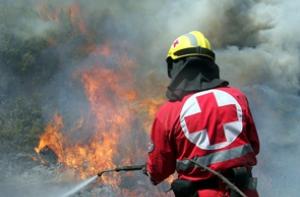 В России поймали подозреваемых в поджогах лесов