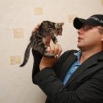 В бюро Ушакова поселятся два кота