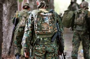 В Грузии создают «резервную» армию бандитов