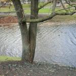 Из-за бури спасатели и пожарные остались без электричества