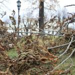 Буря «Йода» добралась до Латгалии