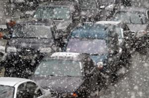 Снежный буран обрушил в Центральном парке Нью-Йорка более тысячи деревьев