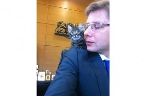 Мэр Риги представил официальных столичных котов