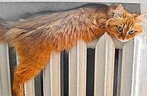 Отопительный сезон в Латвии начался успешно