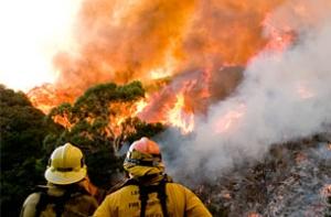 Из-за пожара в Риге закрыт участок ул. Лачплеша