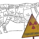 Найдена панацея от радиации