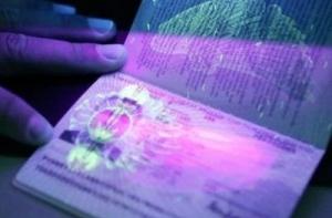 УДГМ: референдумы не влияют на желание натурализоваться