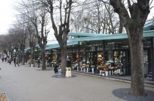 Объявлена самая масштабная стройка года в Латвии