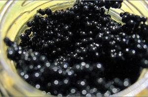 В Латвии 40% семей за год стали беднее