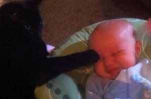 Очередной хит YouTube: Кот успокаивает плачущего малыша